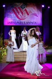 FOTOGALERIE - 20. Jarní ples s ANNOU 2014