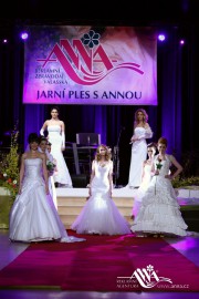 FOTOGALERIE - 20. Jarní ples s ANNOU 2014