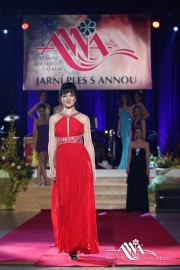 FOTOGALERIE - 20. Jarní ples s ANNOU 2014