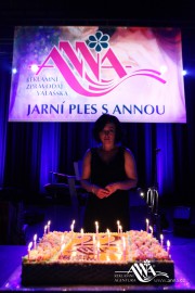 FOTOGALERIE - 20. Jarní ples s ANNOU 2014