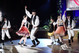 FOTOGALERIE - 20. Jarní ples s ANNOU 2014