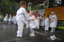 FOTOGALERIE - 22. Den dětí s ANNOU 2014