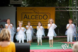 FOTOGALERIE - 22. Den dětí s ANNOU 2014