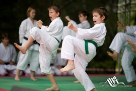FOTOGALERIE - 22. Den dětí s ANNOU 2014