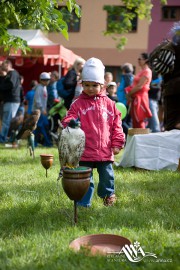 FOTOGALERIE - 22. Den dětí s ANNOU 2014