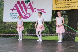 FOTOGALERIE - 23. Den dětí s ANNOU 2015