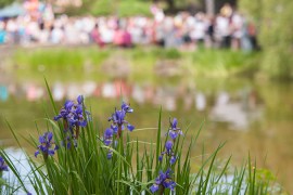 FOTOGALERIE - 23. Den dětí s ANNOU 2015