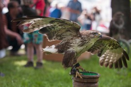 FOTOGALERIE - 23. Den dětí s ANNOU 2015