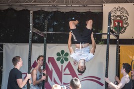 FOTOGALERIE - 25. Den dětí s ANNOU 2017