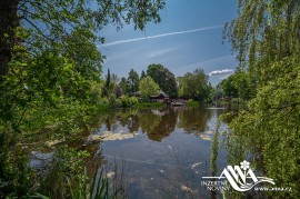 FOTOGALERIE - 29-Den-deti-s-ANNOU-2023-1