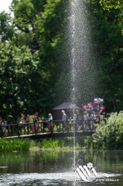 FOTOGALERIE - 29-Den-deti-s-ANNOU-2023-1