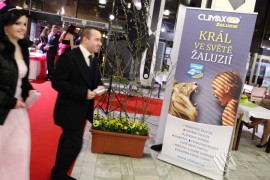 FOTOGALERIE - 21. Jarní ples s ANNOU 2015