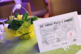 FOTOGALERIE - 22. Jarní ples s ANNOU 2016