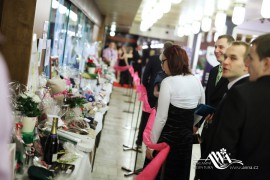 FOTOGALERIE - 22. Jarní ples s ANNOU 2016