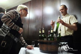 FOTOGALERIE - 22. Jarní ples s ANNOU 2016