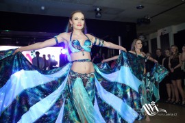 FOTOGALERIE - 22. Jarní ples s ANNOU 2016