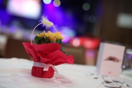 FOTOGALERIE - 23. Jarní ples s ANNOU 2017