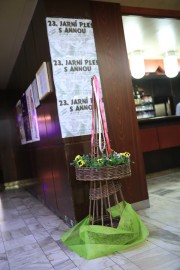FOTOGALERIE - 23. Jarní ples s ANNOU 2017
