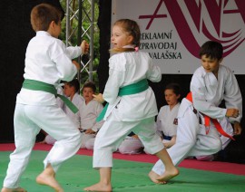 FOTOGALERIE - 26. Den dětí s ANNOU 2018