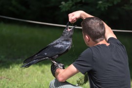 FOTOGALERIE - 26. Den dětí s ANNOU 2018