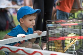 FOTOGALERIE - 26. Den dětí s ANNOU 2018