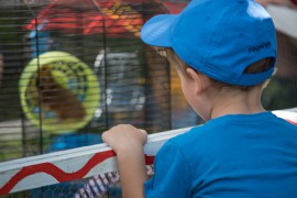 FOTOGALERIE - 26. Den dětí s ANNOU 2018