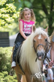 FOTOGALERIE - 27. Den dětí s ANNOU 2019
