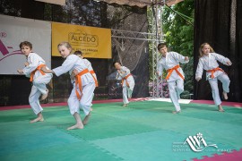 FOTOGALERIE - 27. Den dětí s ANNOU 2019